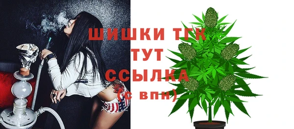 амф Гатчина
