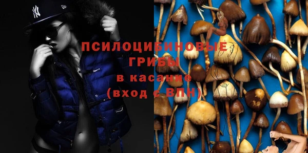 а пвп мука Аркадак